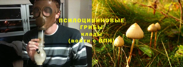 метадон Пересвет