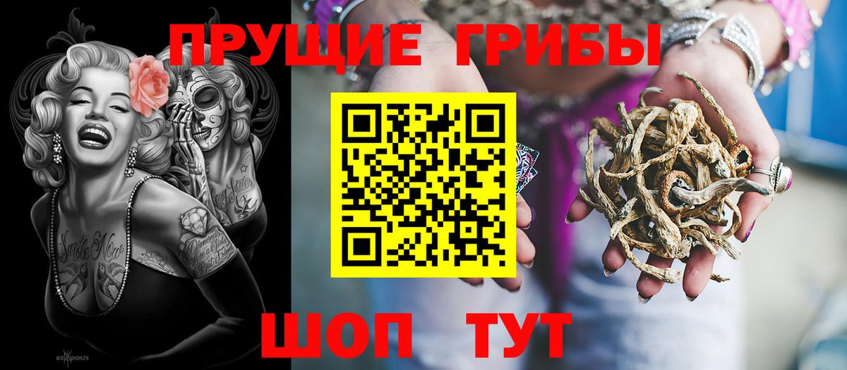 Губаха  Псилоцибиновые грибы MAGIC MUSHROOMS  купить наркоту  Вход с VPN 