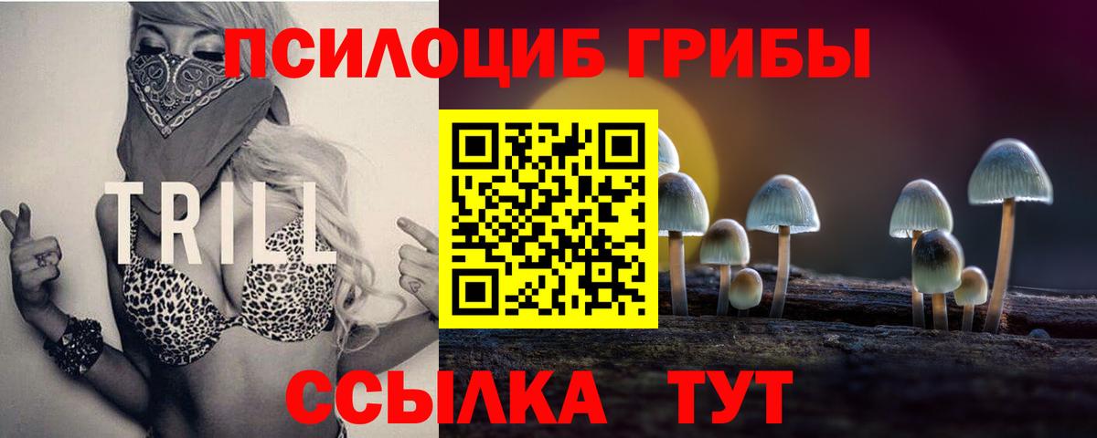 Галлюциногенные грибы Magic Shrooms  Губаха 